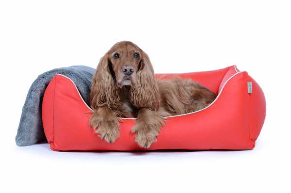 Kunstleder Hundebett Worldcollection rot