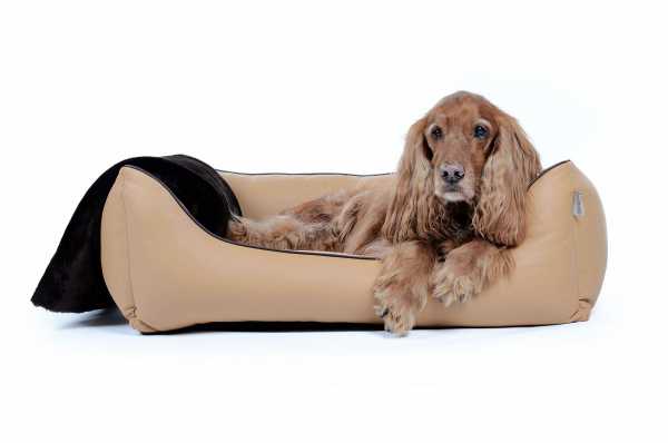 Kunstleder Hundebett Worldcollection hellbraun