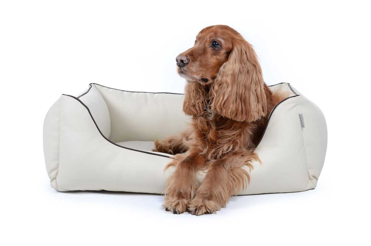 Kunstleder Hundebett Worldcollection creme