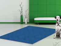 PET MEDIFLOOR blau